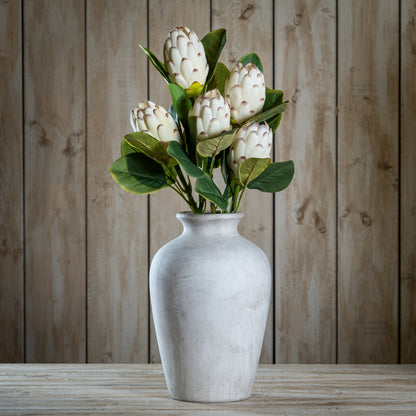Closed White Protea