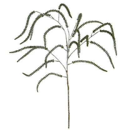 Festive Amaranthus