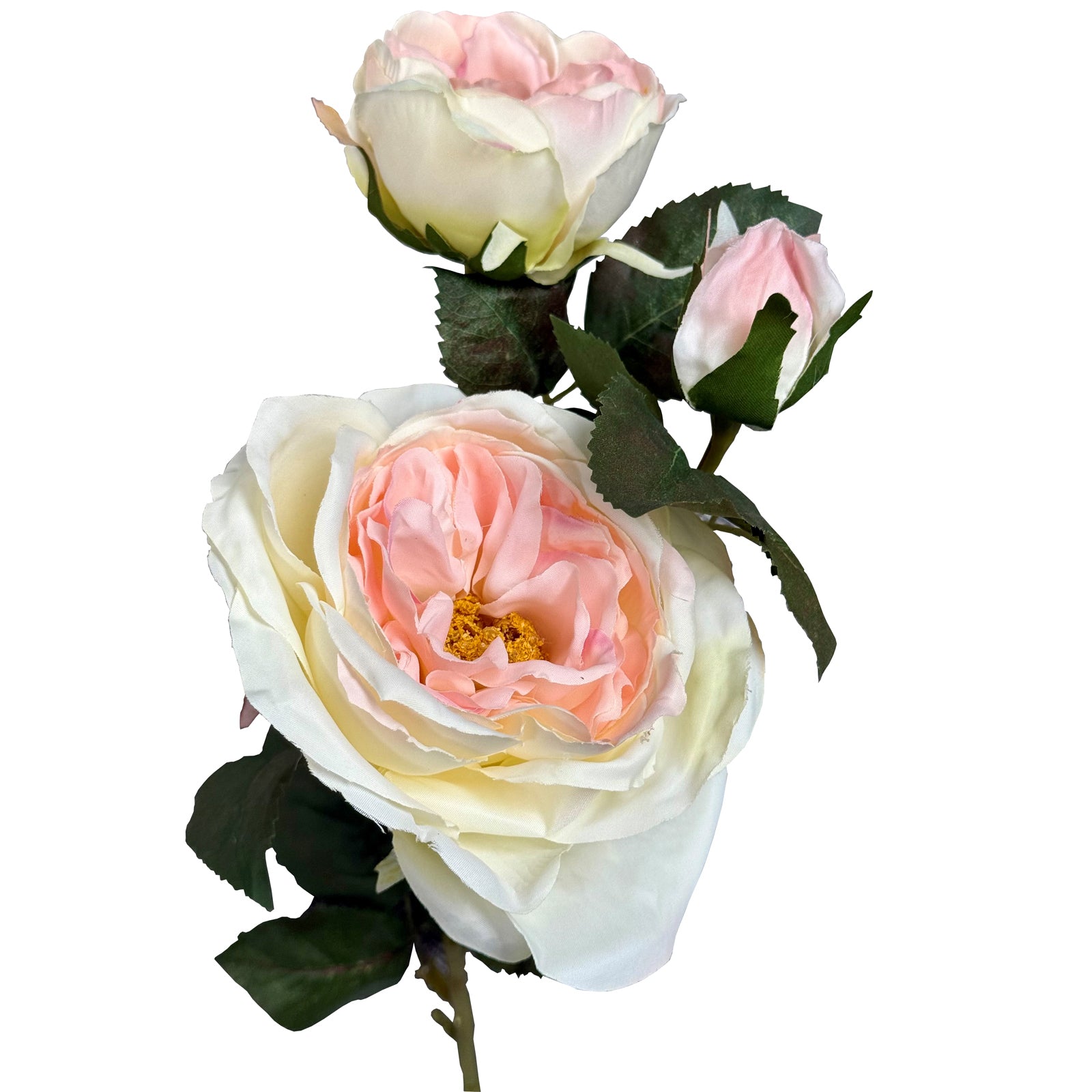Selected Variant Image