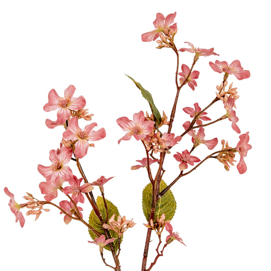 Pink Vernicia Fordii Spray