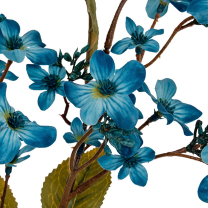 Blue Vernicia Fordii Spray
