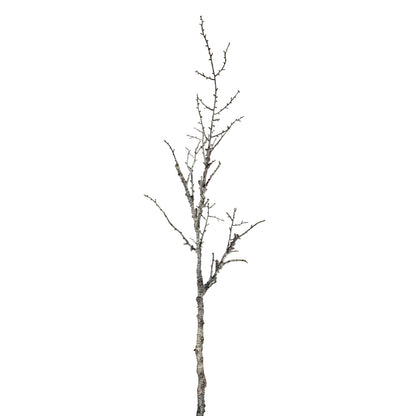 Snowy Winter Woodland Branch