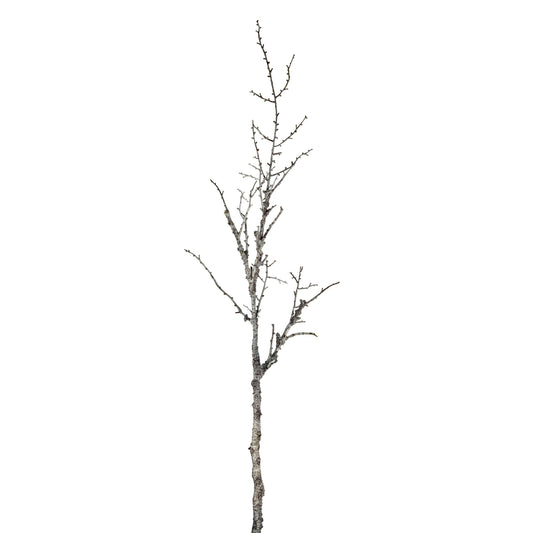 Snowy Winter Woodland Branch